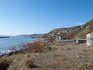 海辺の風景