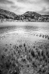 Fototapeta premium landscape of Jura mountain, shore of Lac de Joux - Switzerland