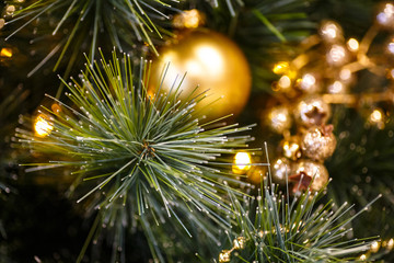 Obraz na płótnie Canvas Golden balls hanging on Christmas tree.