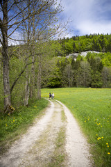 landscape of Jura mountain with blooming green meadow, Switzerland