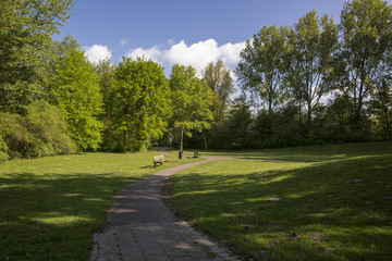 foot path though a green park in warm and sunny spring day