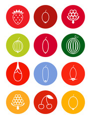 Berries vector icon set in bright tones