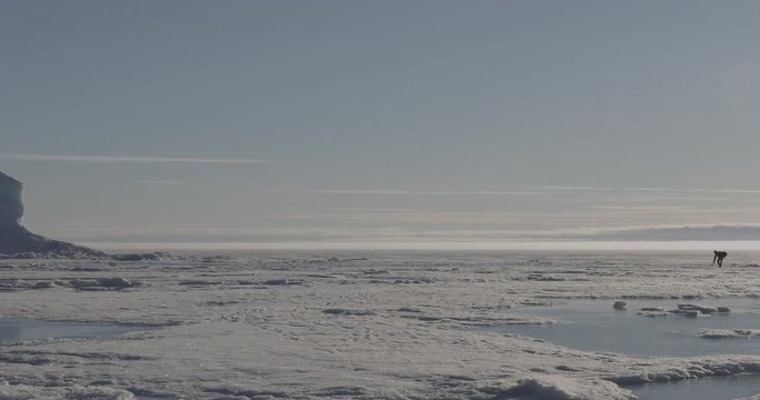 Pan from photographer to glacier in sea ice