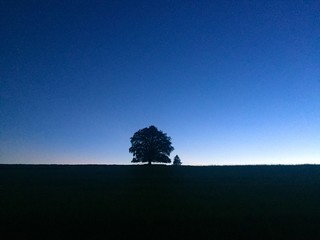Fototapeta na wymiar Lonely at sunset