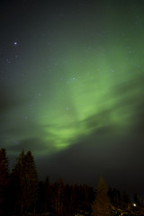 Fototapeta premium Green Northern light, Nordland, Norway