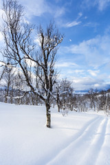 Snowy Norwegian mountain landscape, Nordland, Norway