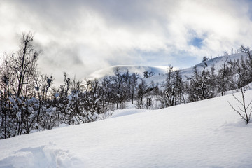 Snowy Norwegian mountain landscape, Nordland, Norway