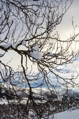 Snowy Norwegian mountain landscape, Nordland, Norway