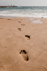 Footprints in the sand, at the beach, Cova do Vapor, Portugal