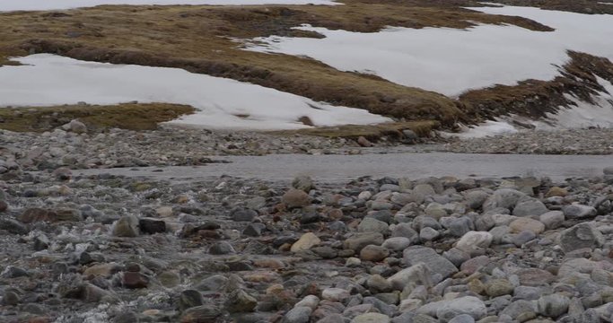 Scenic long pan of stream through tundra in Arctic