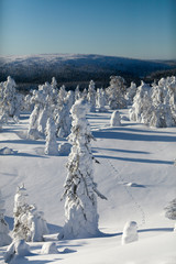 Winter Finnish snowy lanscape
