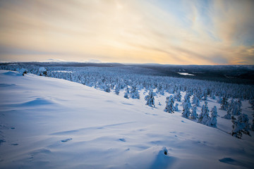 Fototapeta na wymiar Winter Finnish snowy lanscape
