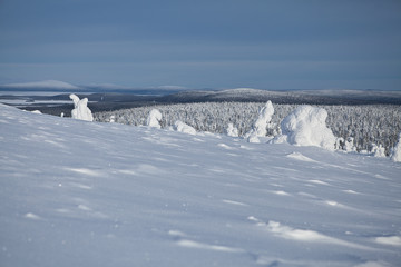 Fototapeta na wymiar Winter Finnish snowy lanscape