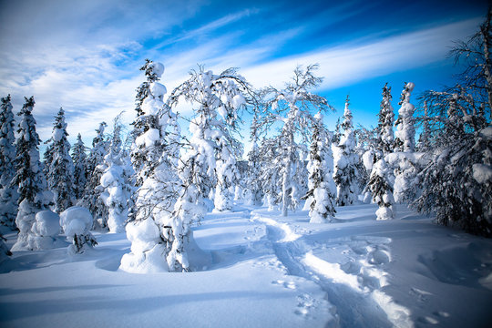 Scandinavian Landscape, Finland