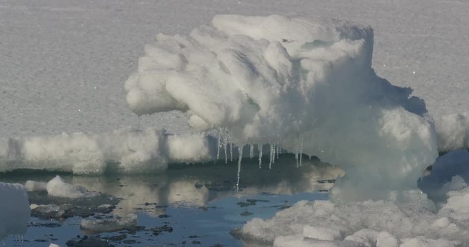 Sunlight on sculpted sea ice bobbing in sunny reflection