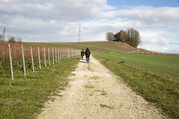 People wandering in an autumn swiss countryside  with wineyards