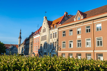 Obraz premium Tallinn Old Town in a beautiful summer day, Estonia