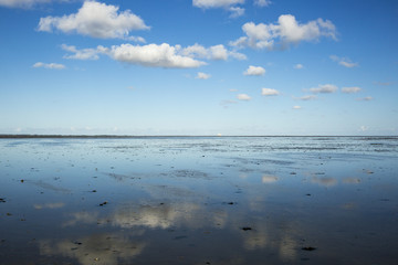 Fototapeta na wymiar Maritime landscape with reflection of clouds in low tide water, Waddenzee, Friesland, The Netherlands