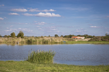 summer countryside scenery with a lake