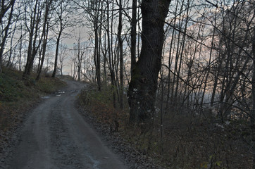 Obraz premium Strada di montagna