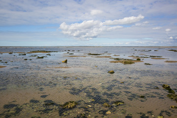 maritime seaside landscape, garonne estuary near Royan, France