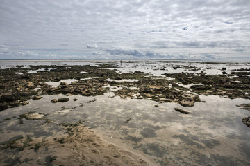 maritime seaside landscape, garonne estuary near Royan, France