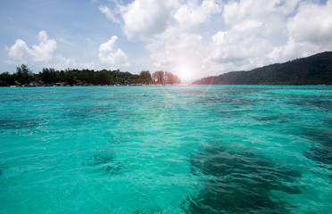 Fototapeta premium beach and tropical sea