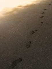 Fototapeta na wymiar Lone Footprints from walk on Black Sand Beach - Maui, Hawaii