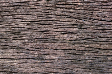 close up wood texture grunge texture