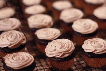 Buttercream frosted chocolate cupakes on rack - ready to eat