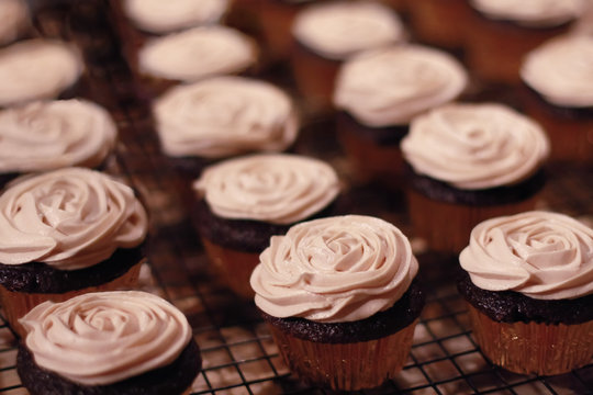 Buttercream frosted chocolate cupakes on rack - ready to eat