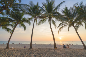 During sunset time with coconut Palm Trees background on the Beach