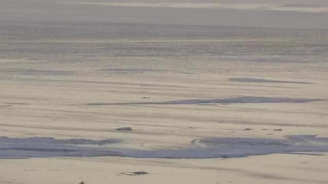 Snow blowing across shiny ice in arctic