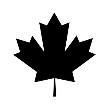 maple leaf green sign canadian pictogram vector illustration eps 10