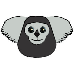 draw saki animal brazil vector illustration eps 10