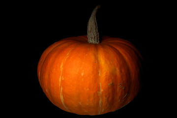Pumpkin on black background