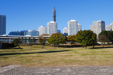 Fototapeta na wymiar 横浜　公園