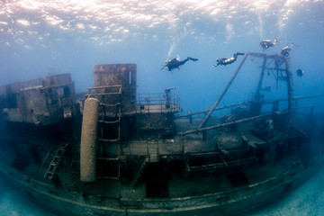 SCUBA divers around a huge underwater shipwreck © whitcomberd