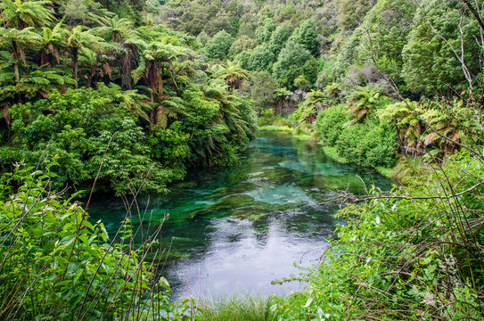 Blue Spring which is located at Te Waihou Walkway,Hamilton New Zealand. It internationally acclaimed supplies around 70% of New Zealand's bottled water because of the pure water.