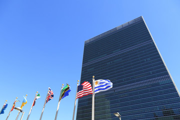 国際連合