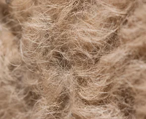 Plaid mouton avec motif Chameau camel wool as background