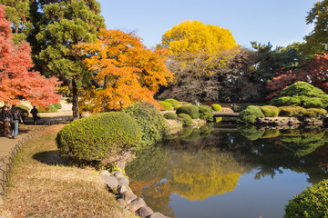 Japanese garden in autumn