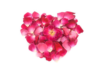 Pink rose petals heart shape formation