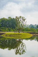 Fototapeta na wymiar Big tree on still water pond with Water reflection