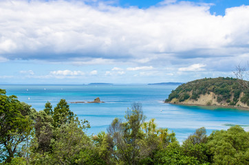 Fototapeta na wymiar Beautiful landscape view of Mahurangi Regional Park in Auckland,New Zealand.