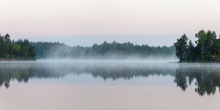 Fototapeta morning fog in the forest lake