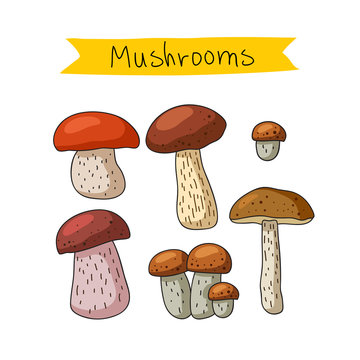 Icons of various mushrooms