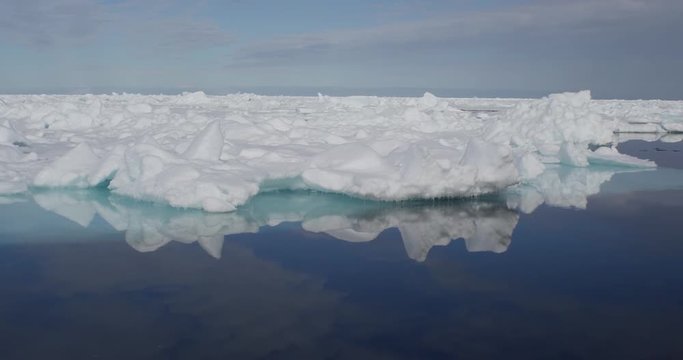 sea Ice bergs reflection on sunny arctic day