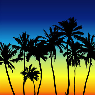 Sunset scene with palm trees