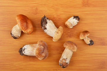 Boletus edulis mushroom on wooden board